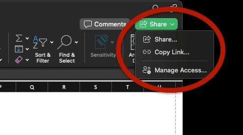 Sharing workbook options in Excel are: Share, copy link and manage access.