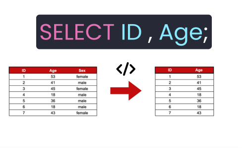 Example of a basic SQL SELECT statement retrieving data from a table